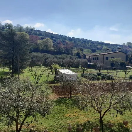 Into The Green! Flat & Garage * Arquà Petrarca